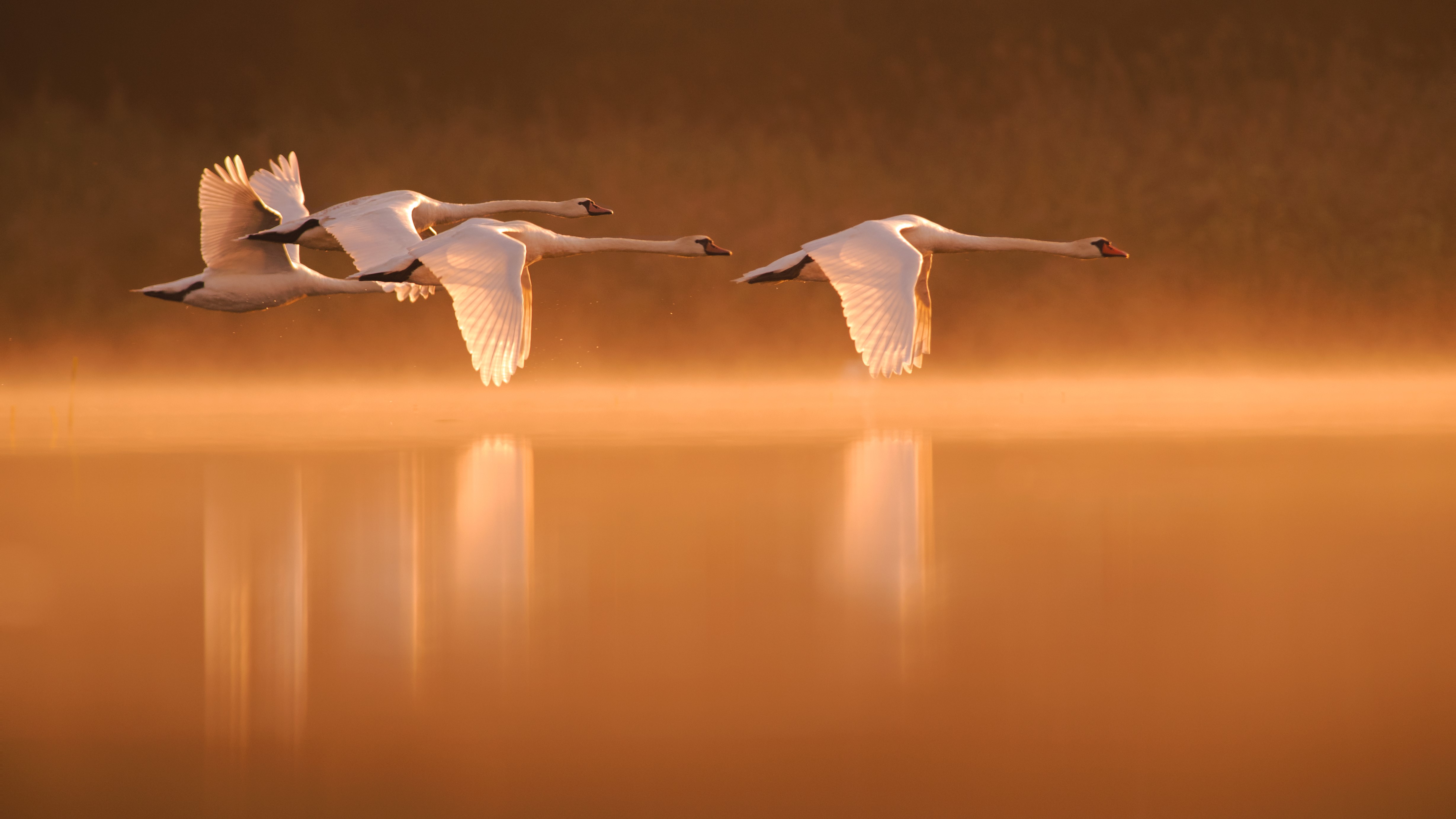 © Agnieszka Florczyk, Well with Nature EEA