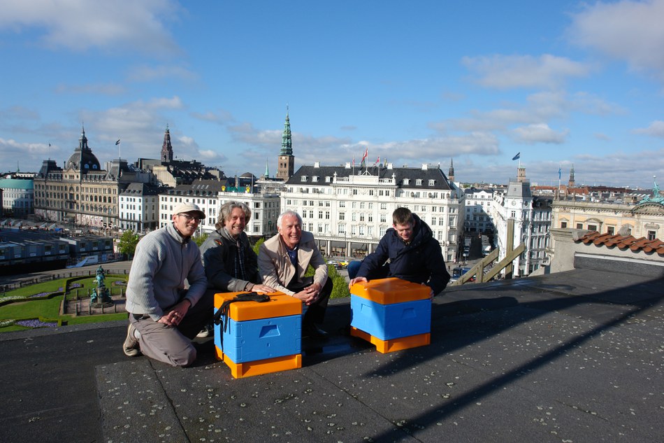 Beehives and Kongens Nytorv