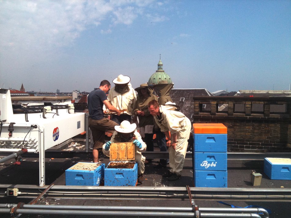 Beekeepers and EEA staff