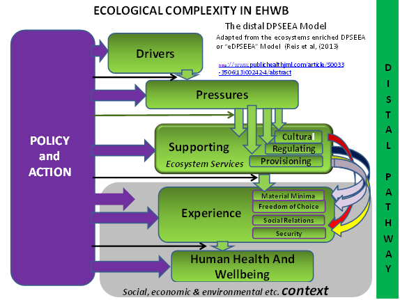 Ecological Complexity in EHWB