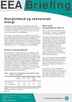 EEA Briefing 2/2004 - Energitilskud og vedvarende energi