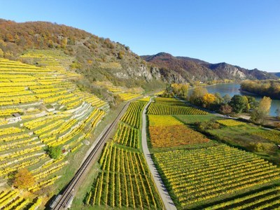 Heavy metals in soil ecosystems (Signal)