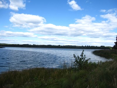 Chemicals in European surface water and groundwater (Signal)