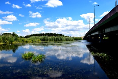 Nutrients in freshwater in Europe (Indicator)