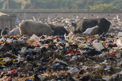 Diversion of waste from landfill in Europe (Indicator)