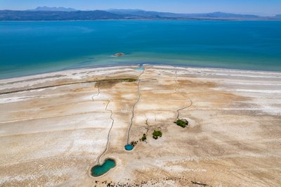 European bathing water quality in 2023