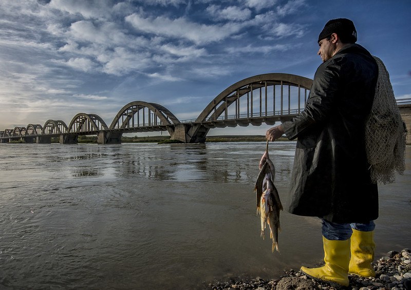 Picture of a fisherman in yellow waterproof boots holding a catch of fish and standing before a greyish river with a long bridge visible under a cloudy blue sky.