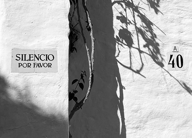 Black and white image of a white wall with a tree branch and its shadow at the centre; on the left there is a sign “Silencio por favor” and on the right “A 40”.