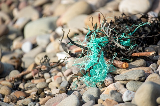 Picture of tangled lime-green plastic threads and twigs on a pebble background setting.