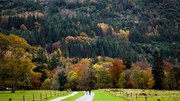 La gestión sostenible es la clave para garantizar la salud de los bosques en Europa