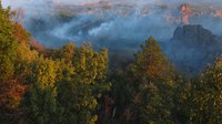 Los efectos de la exposición a la contaminación atmosférica sobre la salud y el medio ambiente siguen siendo elevados en toda Europa