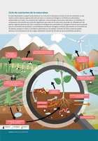 Ciclo de nutrientes de la naturaleza