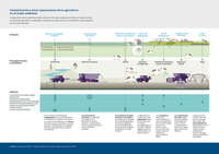Contaminación y otras repercusiones de la agricultura en el medio ambiente