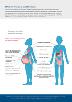 Effets des PFAS sur la santé humaine