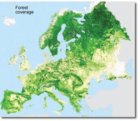 Forest fires in Southern Europe