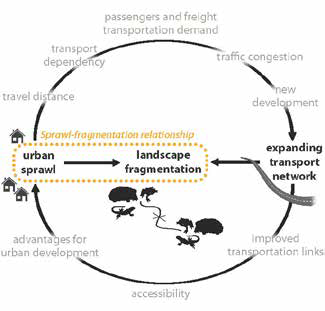 Urban sprawl graphic