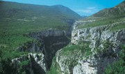 Europe's mountains: rich in biodiversity but increasingly vulnerable