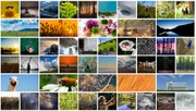 NATURE@work competition: Vote for your favourite photos