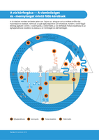 A víz körforgása — A vízminőséget és - mennyiséget érintő főbb kérdések