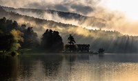 Editoriale - Il valore della natura