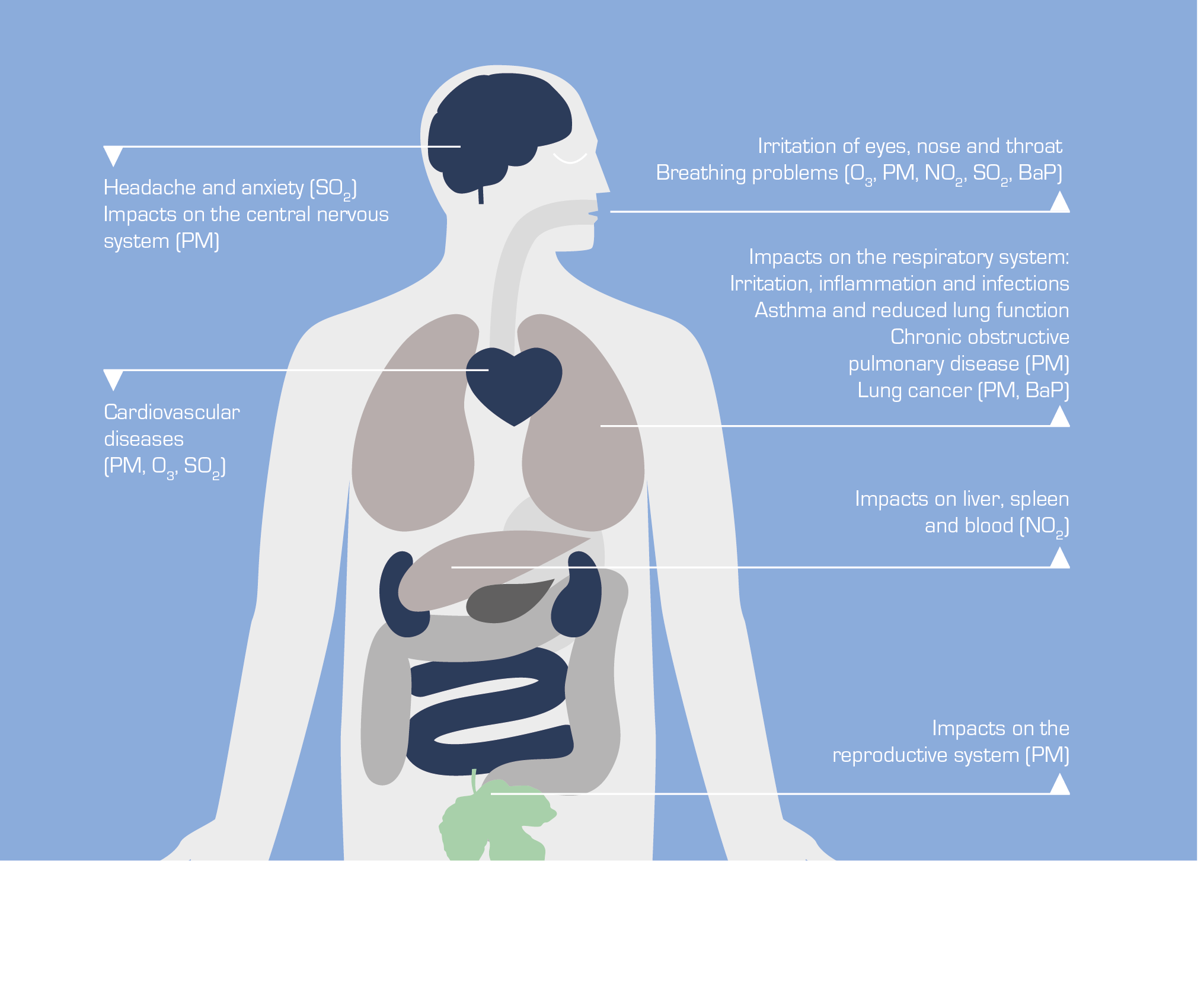 Health impacts of air quality