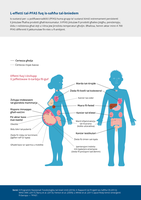 L-effetti tal-PFAS fuq is-saħħa tal-bniedem