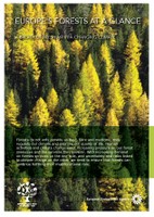 Europe's forests at a glance — a breath of fresh air in a changing climate