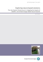 Exploring nature-based solutions — The role of green infrastructure in mitigating the impacts of weather- and climate change-related natural hazards 