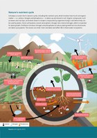 Nature's nutrient cycle