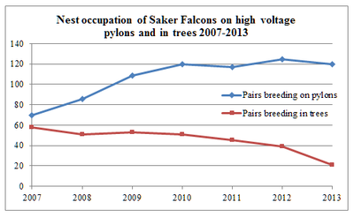 Nest occupation of Saker Falcons on high voltage pylons and in trees 2007-2013