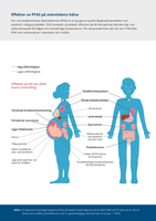 Effekter av PFAS på människors hälsa