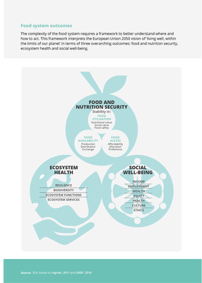 Achieving a sustainable Europe will require far-reaching societal change, engaging all sectors of the  economy and society. This document focuses on the example of the food system. 