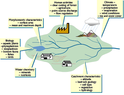 Overview - Figure 1