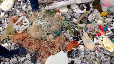 Beach litter