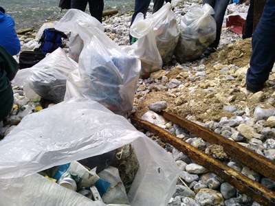 Beach clean-up