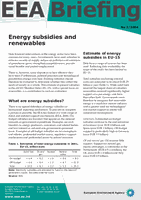 EEA Briefing 2/2004 - Enerji sübvansiyonları ve yenilenebilir kaynaklar